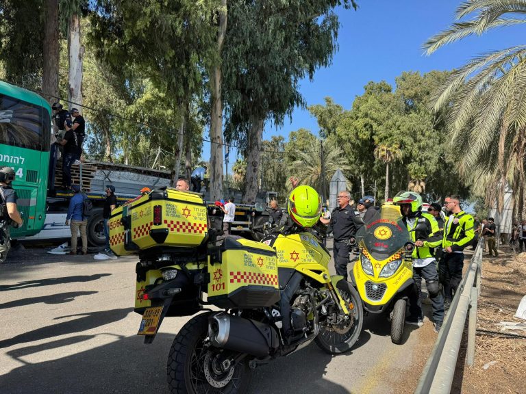 תמונה של WhatsApp‏ 2024-10-27 בשעה 10.50