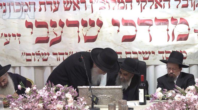 image (14)