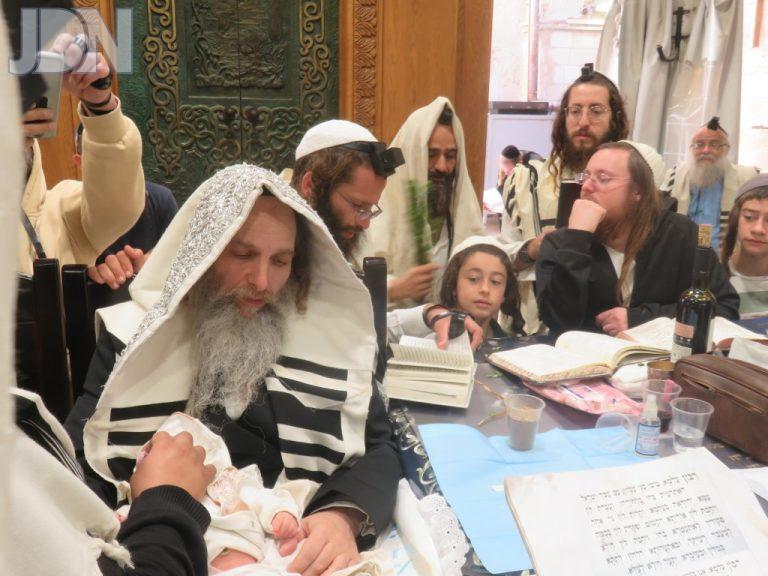 אונגוואר ברית מערת המכפלה (2)