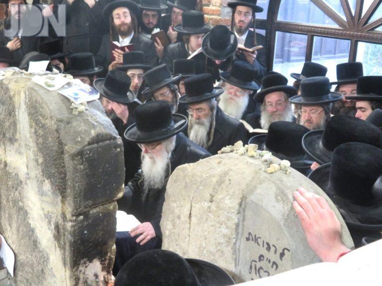 דאראג הונגריה חשון פ''ה (7)