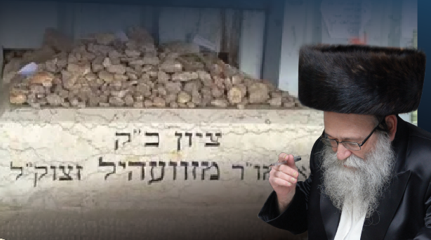 הרב מזוועיל