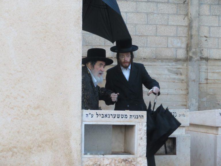 ויז'ניץ ציון טשערנאביל (16)