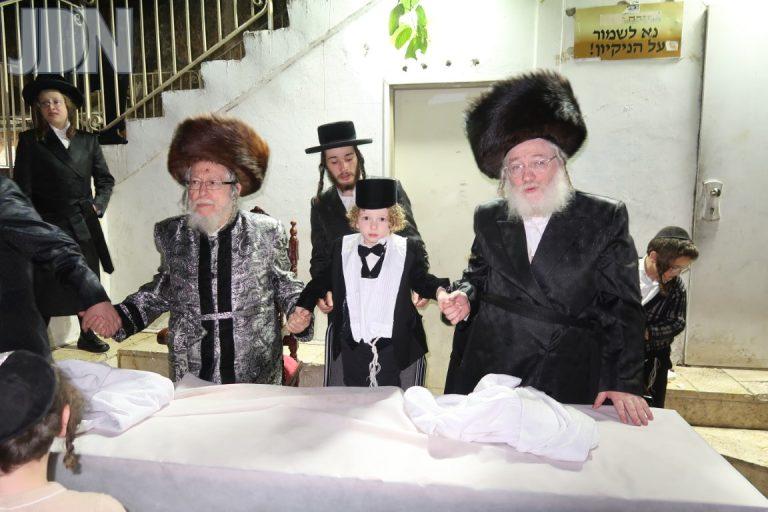 סטראפקוב גאב''ד פרדס כץ חלאקה (24)