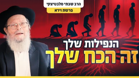 צילום מסך 2024-11-11 061849