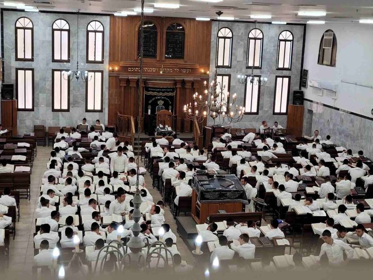 תמונה של WhatsApp_ 2024-11-05 בשעה 10.29