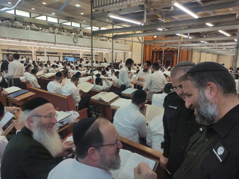 תמונה של WhatsApp‏ 2024-11-14 בשעה 09.51