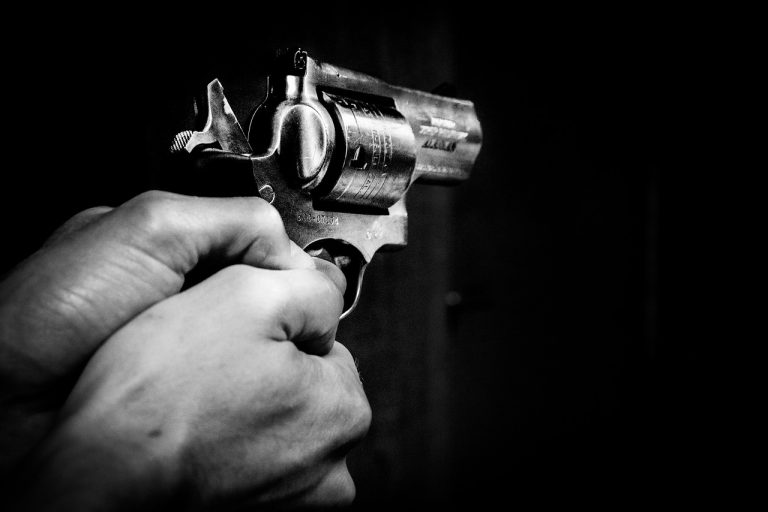 gun-1678989_1280-768x512