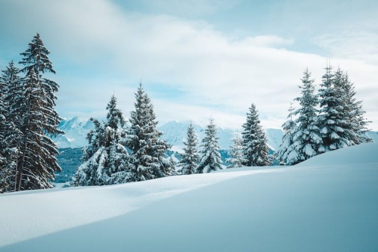 pexels-photo-19727174_1733989926873