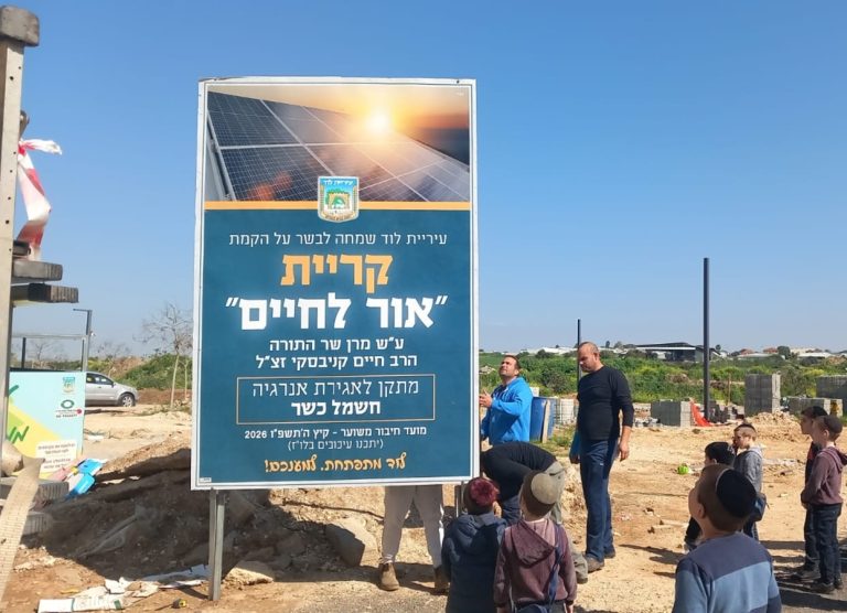 אנלייט
