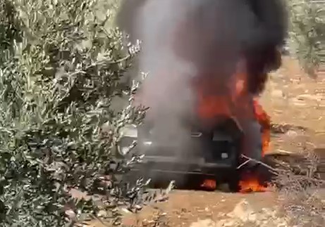 צילום מסך 2024-12-03 114807