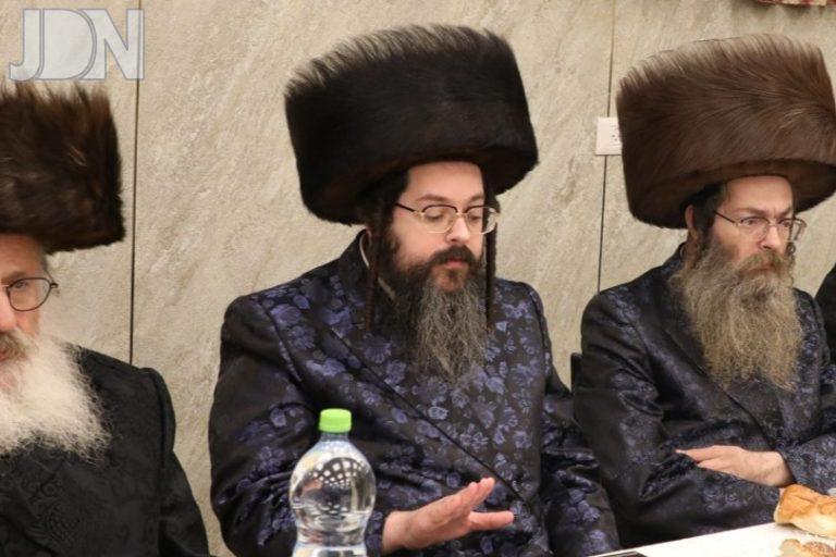 דינוב תלפיות הילולא (2214)