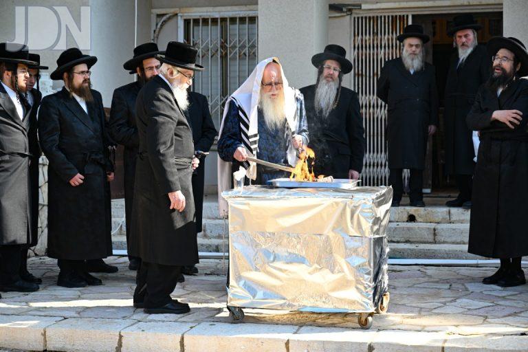 צאנז זאת חנוכה פה (8)