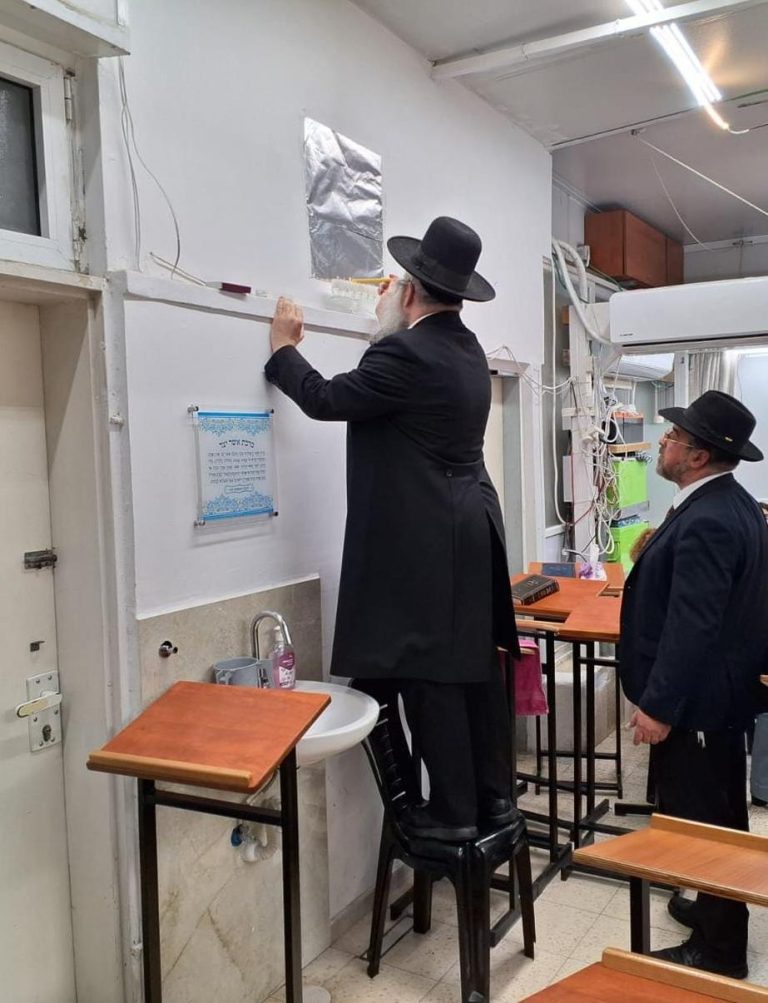 תמונה לשימוש חופשי