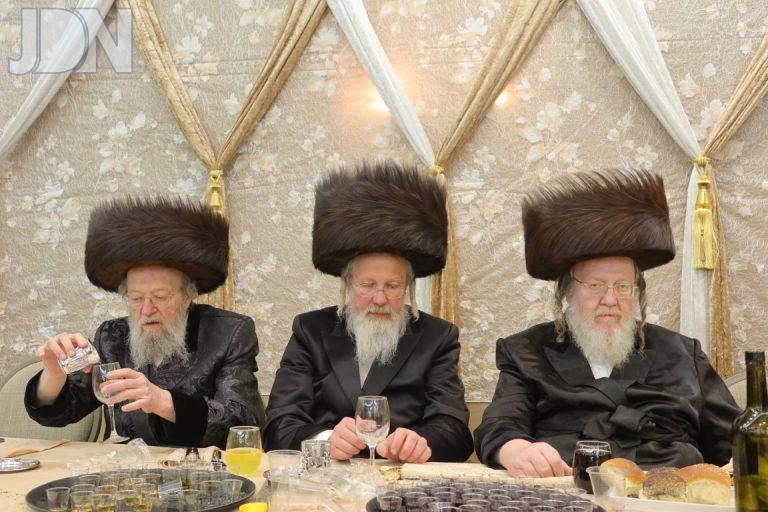 ביאלא פשיסחא הר נוף חתונה (4)