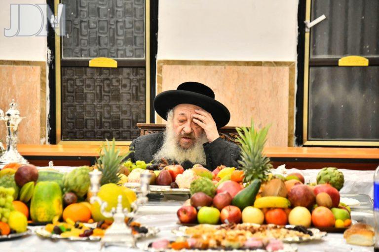 דעעש ט''ו בשבט פה (14)