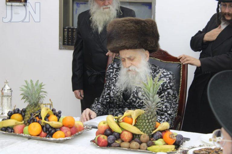 האדמו''ר מבוטושאן ט''ו בשבט תשפ''ה צילום איתי קצב (12)