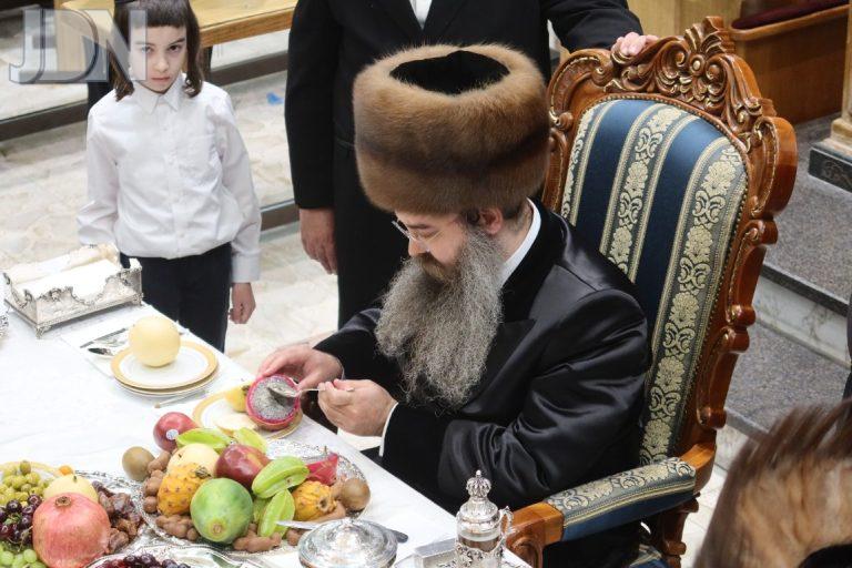חמשה עשר בשבט בחצה''ק סאדיגורה (6)