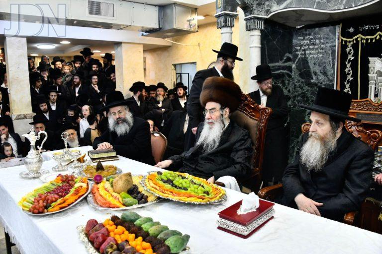 ט''ו בשבט בחצה''ק אלכסנדר תשפ''ה צילום שוקי לרר (27)