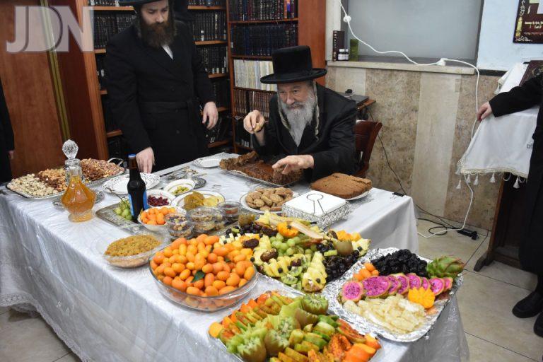ט''ו בשבט בחצה''ק אשלג תשפ''ה צילום יהודה פרקוביץ (1)