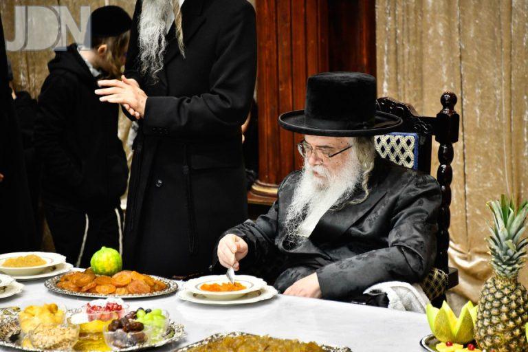 ט''ו בשבט בחצה''ק דאראג תשפ''ה צילום שוקי לרר (27)