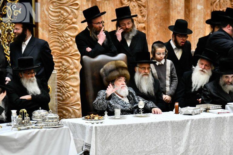 ט''ו בשבט בחצה''ק ויז'ניץ תשפ''ה צילום שוקי לרר (7)