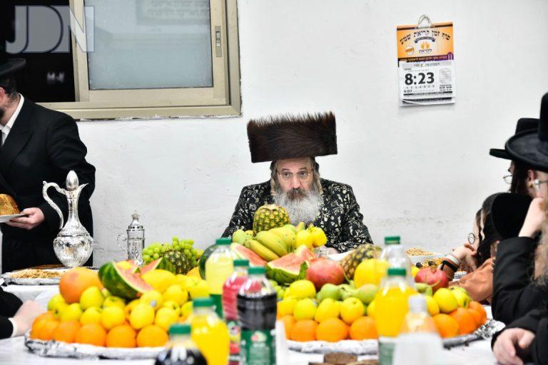 ט''ו בשבט בחצה''ק זוטשקא אמסנא תשפ''ה צילום שוקי לרר (2)