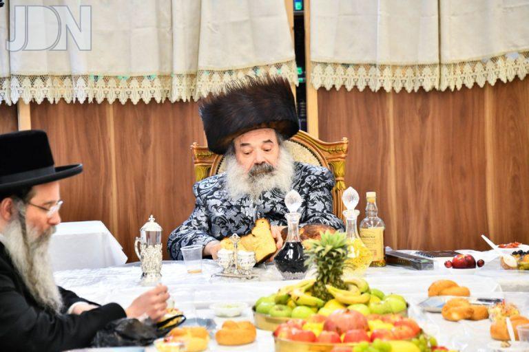 ט''ו בשבט בחצה''ק זידיטשוב תשפ''ה צילום שוקי לרר (5)