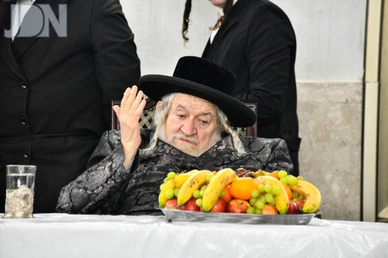 ט''ו בשבט בחצה''ק טעמעשוואר תשפ''ה צילום שוקי לרר (2)