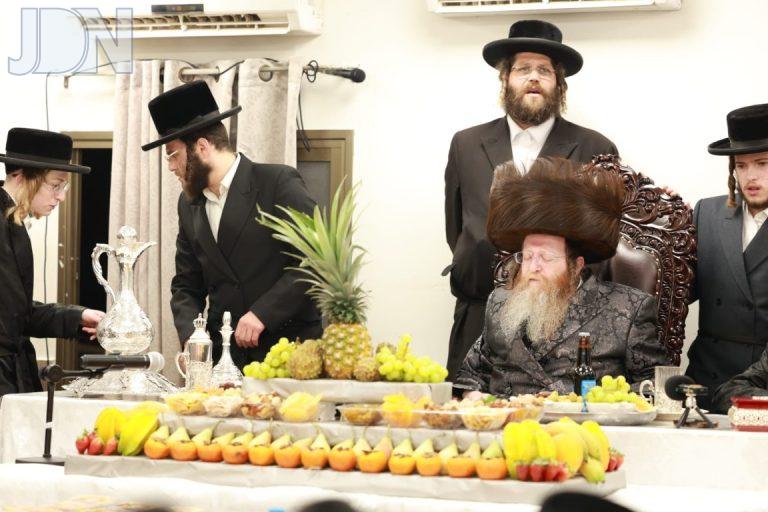 ט''ו בשבט בחצה''ק טרעבישאן צילום דוד ארזני (2)