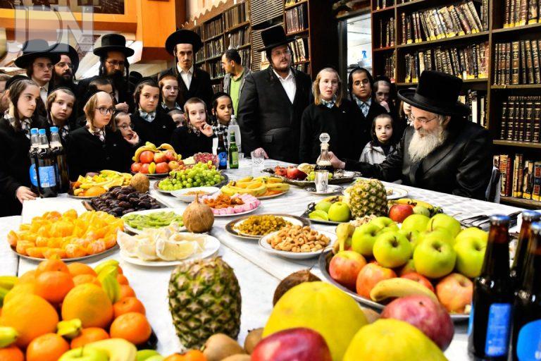 ט''ו בשבט בחצה''ק לעלוב תשפ''ה צילום שוקי לרר (1)
