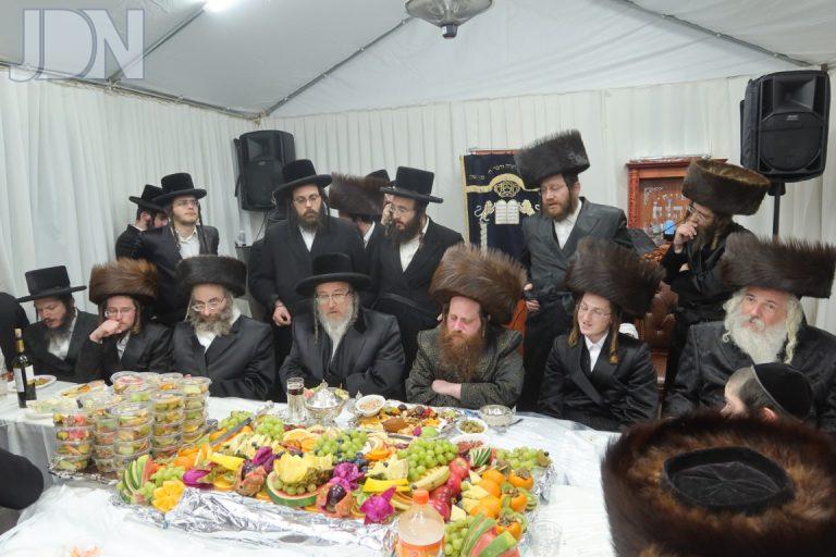 ט''ו בשבט בחצה''ק מיאלען תשפ''ה צילום א ה  (38)