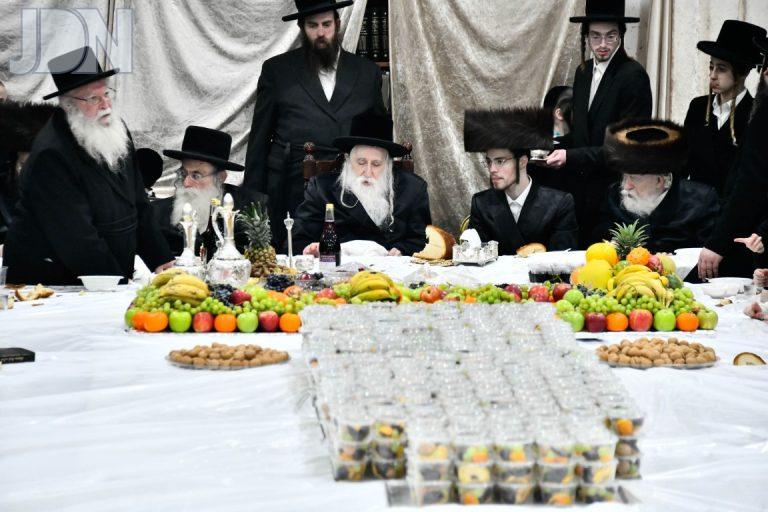 ט''ו בשבט בחצה''ק מכנובקא בעלזא שבט תשפ''ה צילום שוקי לרר (8)