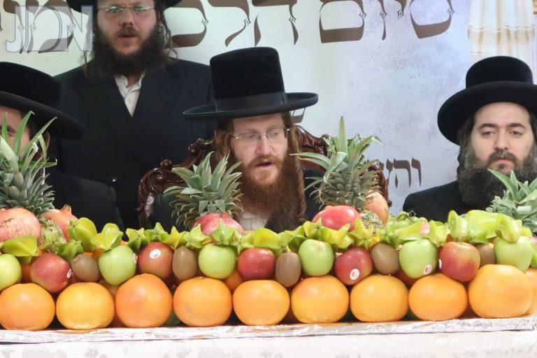 טו' בשבט בחצה''ק מקאליב (1)
