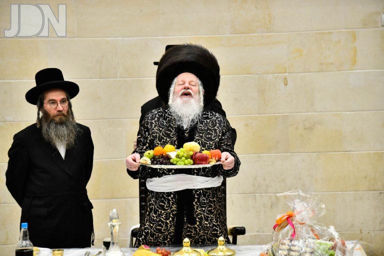 ט''ו בשבט בחצה''ק פרמישלאן תשפ''ה צילום שוקי לרר (12)