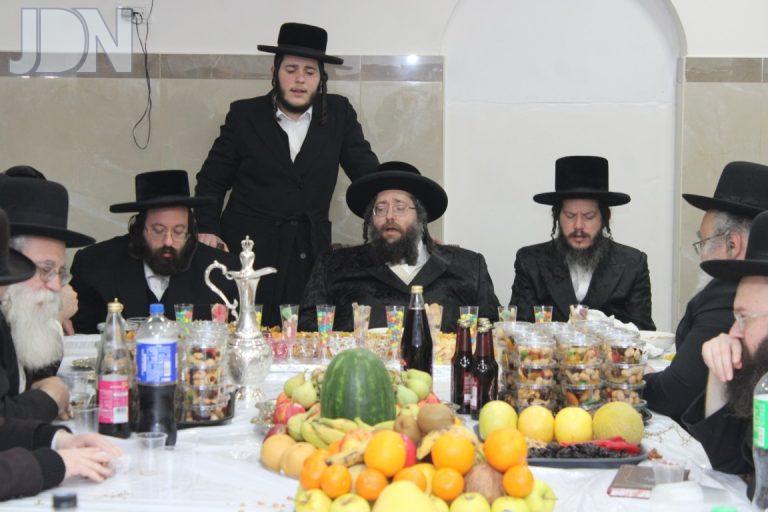 ט''ו בשבט בחצה''ק צאנז זימגראד תשפ''ה צילום איתי קצב (4)