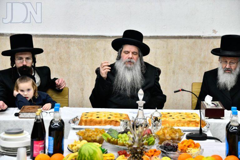 ט''ו בשבט בחצה''ק קוידינוב תשפ''ה צילום שוקי לרר (5)