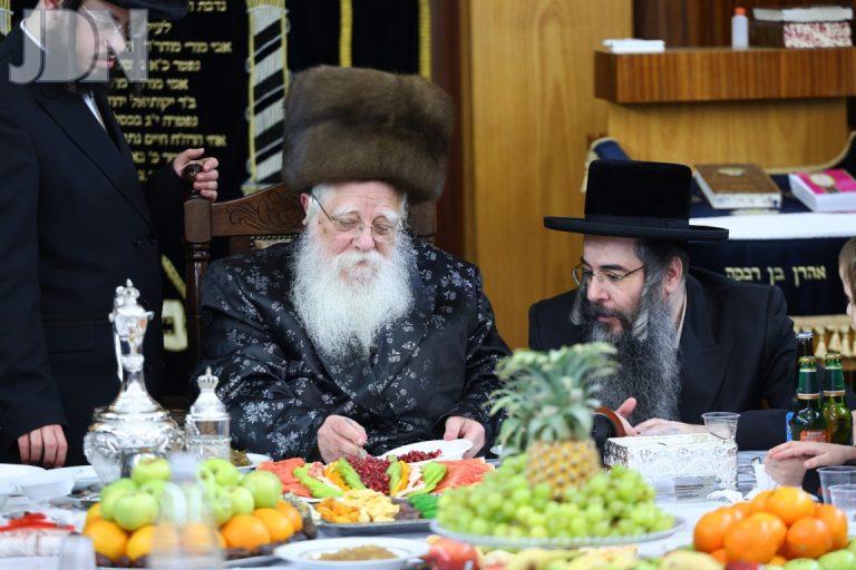 ט''ו בשבט בחצה''ק שאץ ויז'ניץ חיפה תשפ''ה צילום שמואל שנקר (4)