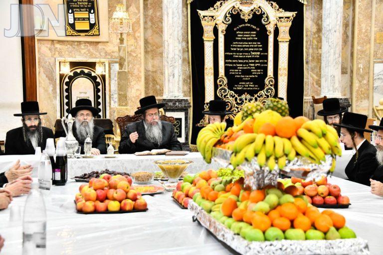 טו בשבט בחצהק שבט הלוי שבט תשפה צילום שוקי לרר (2)
