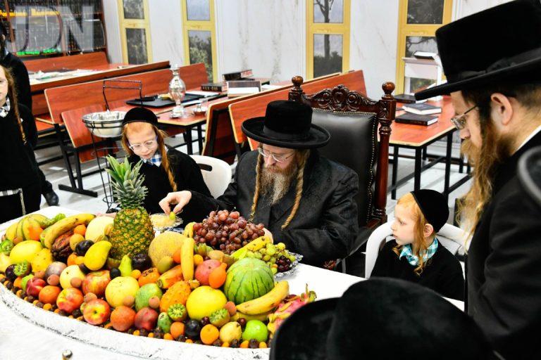 ט''ו בשבט בחצה''ק שומרי אמונים תשפ''ה צילום שוקי לרר (2)