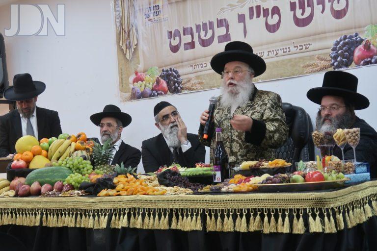 ט''ו בשבט בחצר הקודש מישקולץ צילום ש פ ה (26)