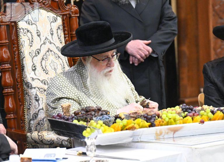 טו בשבט בחצר הקודש צאנז צילום משה גולדשטיין (4)