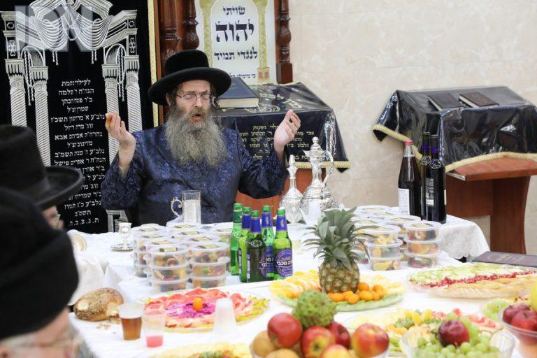 ט''ו בשבט בחצר הקודש ראפשיץ (7)