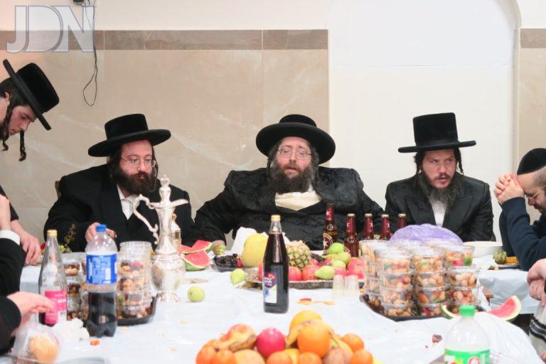 טו בשבט צאנז ז'ימיגרד תשפ''ה צילום מ אדלר (1)