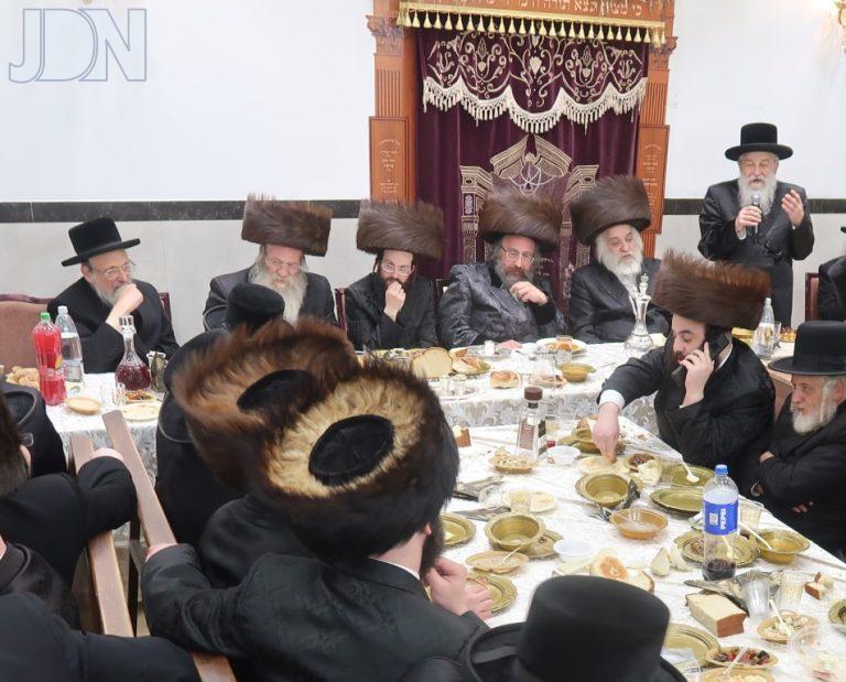 לעלוב בראנוביץ הילולא ושבע ברכות (7)