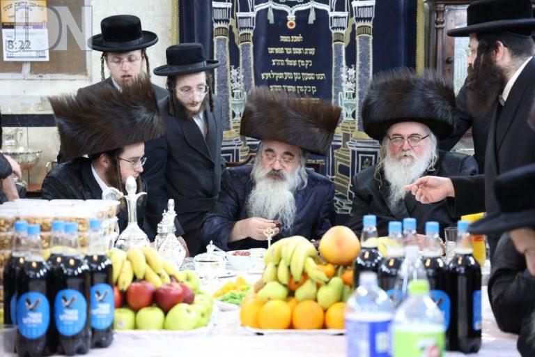 לעלוב ירושלים בטיש טו בשבט - צילום שלומי טריכטר (2)