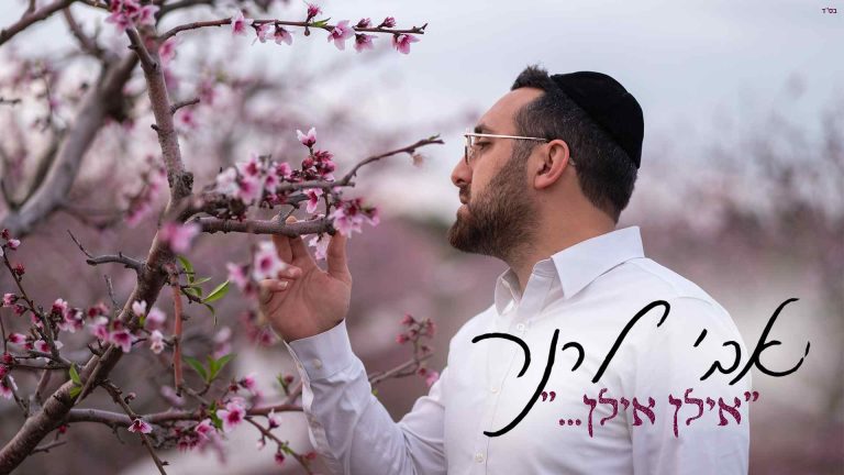 מלבן (24) (1)