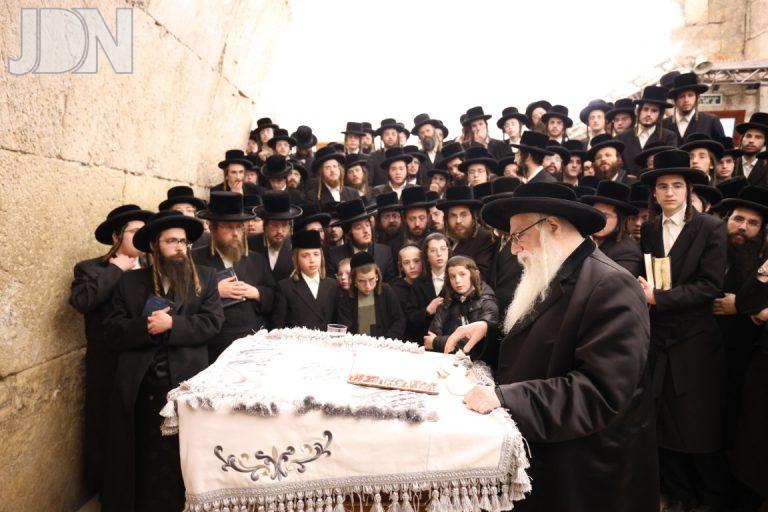 צאנז כותל ארזני (18)