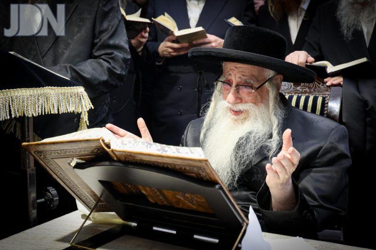 צאנז מירון (6)