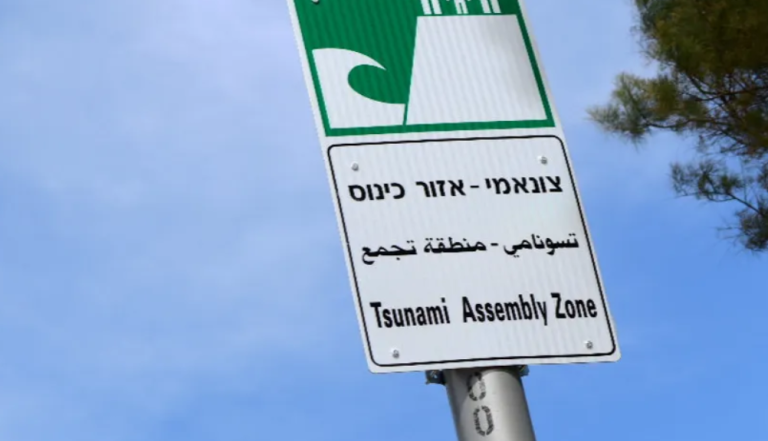 צילום מסך 2025-02-06 180504