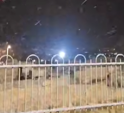 צילום מסך 2025-02-23 200644